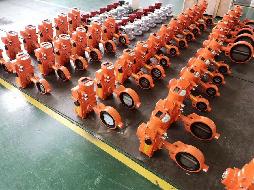 電動(dòng)軟密封蝶閥D971X/D943X