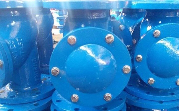 橡膠瓣止回閥SFCV,HC44X實(shí)物圖