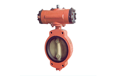 浸沒式對夾液壓遙控蝶閥